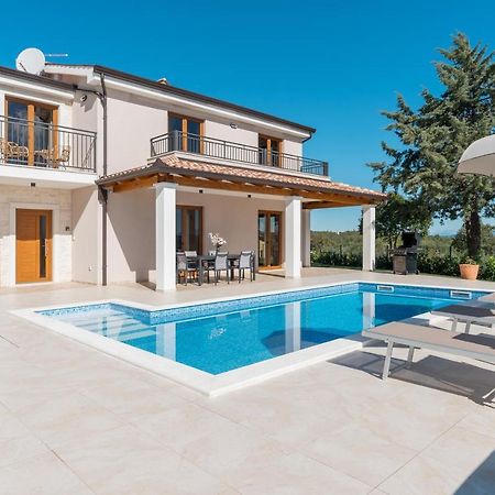 Villa Atop The Village With Stunning View Vižinada Екстериор снимка